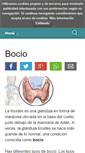Mobile Screenshot of bocio.org